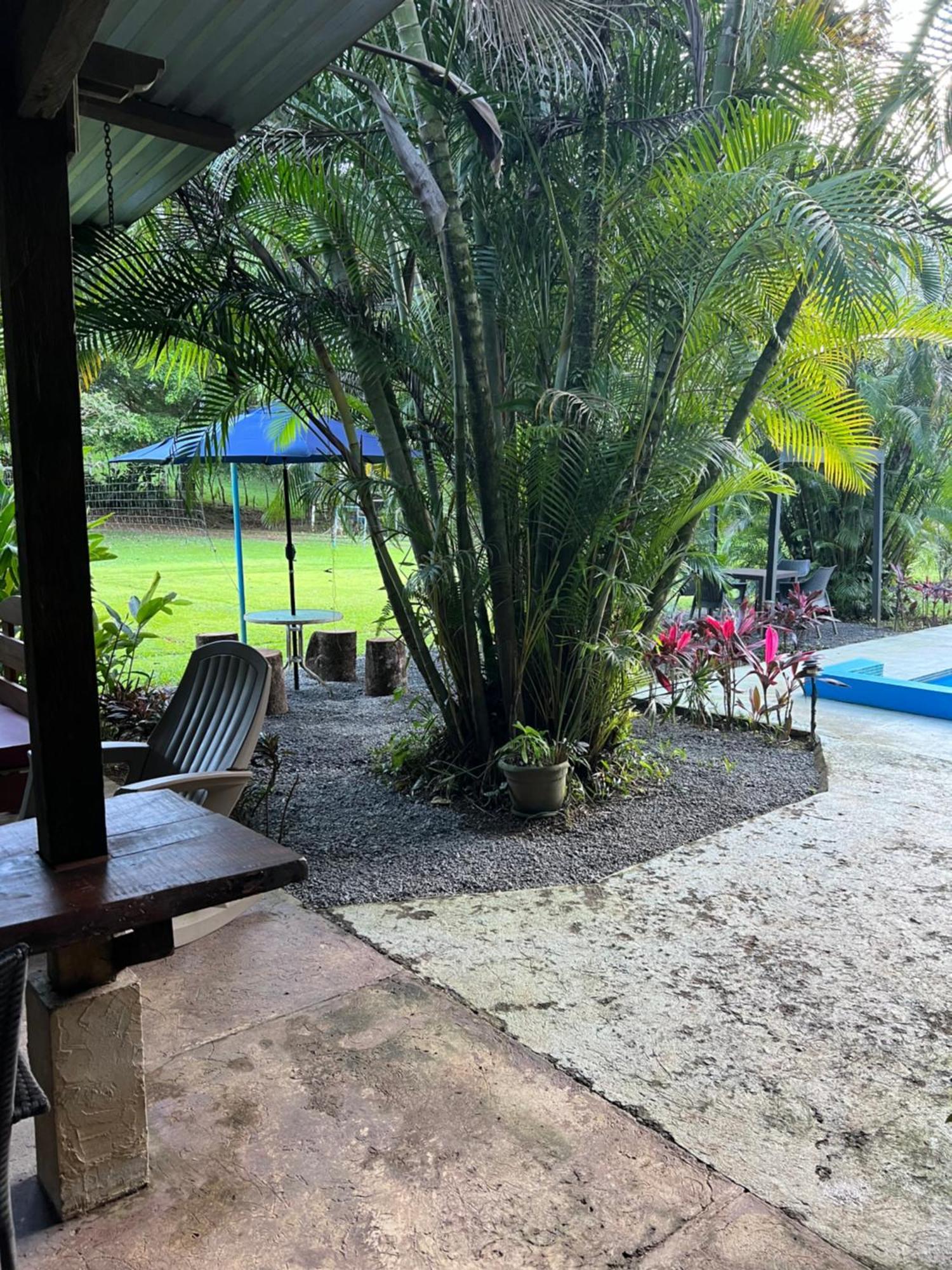 La Plantacion * Agua Azul